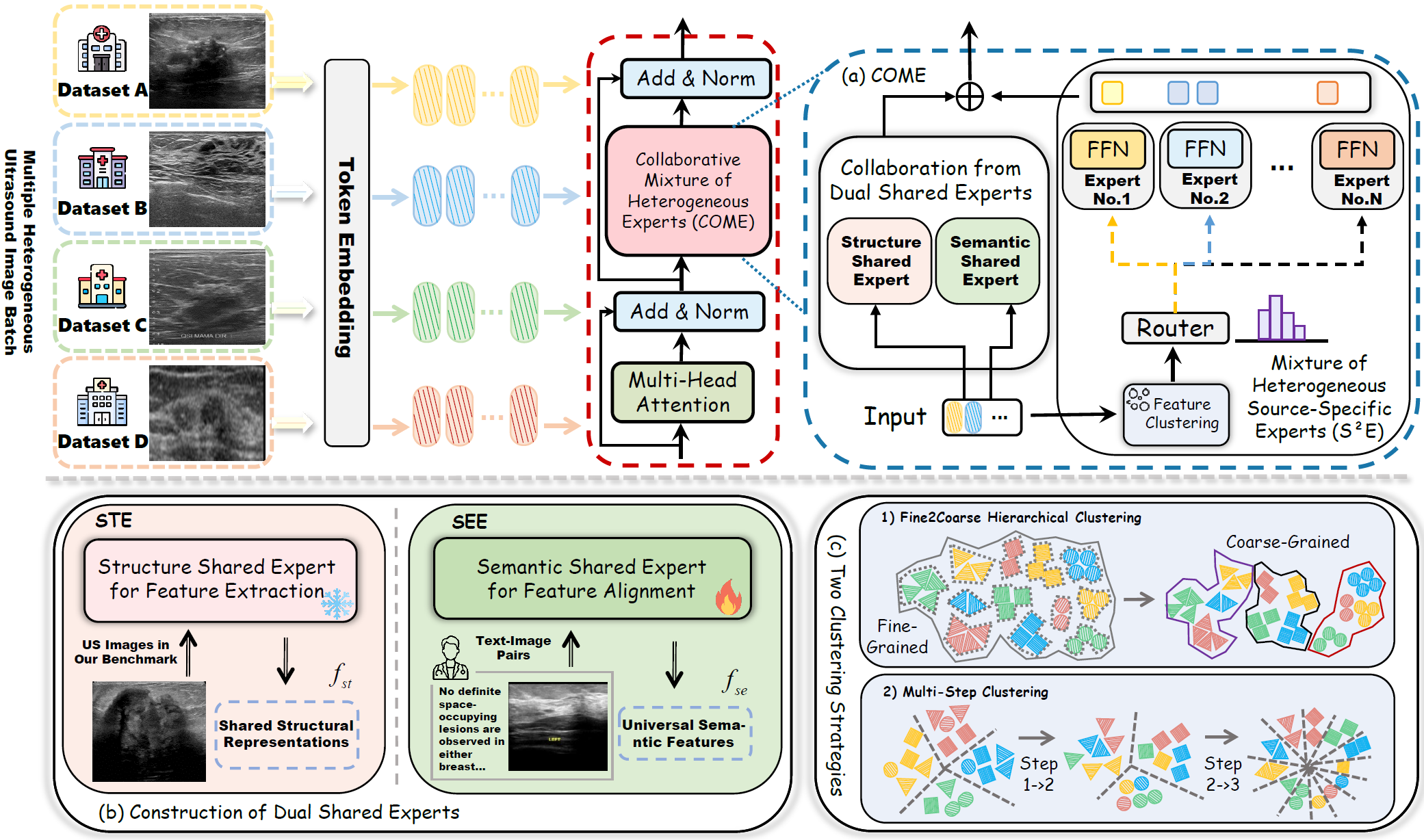 Illustration of the proposed HSformer+ framework;